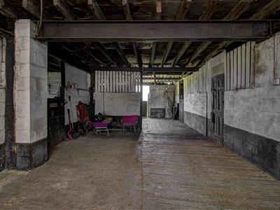 Picture 25